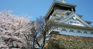 小倉城桜まつり